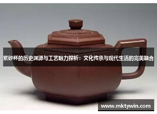 紫砂杯的历史渊源与工艺魅力探析：文化传承与现代生活的完美融合
